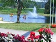 Paddle Boats Photo