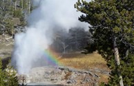 Yellowstone