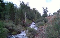 Bighorn Mountain Stream