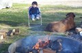 KOA Campfire