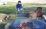 KOA Campfire