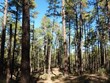 Hiking Photo