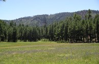 Gila National Forest, Clayton Mesa