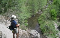 Gila National Forest, West Fork Gila River