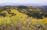 McKnight Mountain, Gila National Forest