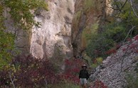 Mineral Creek