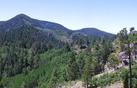 The Black Range, Gila National Forest