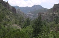 Whitewater Canyon, Gila National Forest