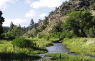 Gila National Forest, East Fork Gila River