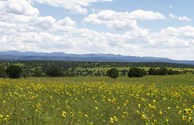 North Mesa, Gila National Forest