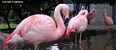 Great Plains Zoo and Delbridge Museum of Natural History Photo