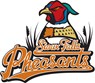 Sioux Falls Pheasants Professional Baseball Photo
