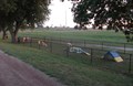 Our KOA is Pet Friendly