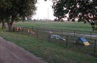 Our KOA is Pet Friendly