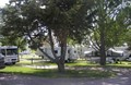 Relax in one of our Shady Kampsites!