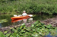 Will it be a canoe or kayak?