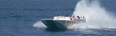 Are you ready for a THRILL! Take a high speed adventure boat ride with Osprey Cruises! Photo