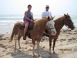 Island Equestrian Center Photo