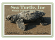 Sea Turtle, Inc. Photo