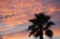 What a view!  Enjoy our sunsets over the bay.