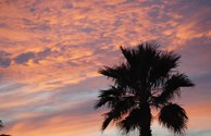 What a view!  Enjoy our sunsets over the bay.