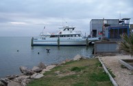 Osprey Fishing Trips leave from our KOA docks