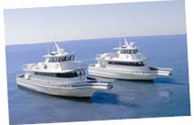 Osprey Fishing Trips, both bay and deep sea, departs from our KOA docks