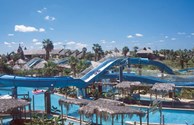 Schlitterbahn Beach Waterpark provides a full day of family fun, located very near our KOA
