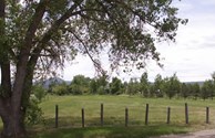 Grassy Field for Tent Camping