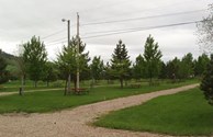 Grassy, Level Tent Sites