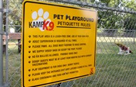 Kamp K-9