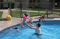 Dive into Our Pool