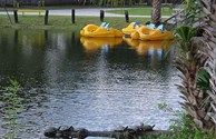 Paddle Around!