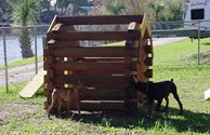 Let your pups enjoy Kamp K9