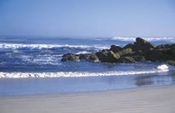 Visit our Beautiful Beach