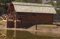 2 room Lakeside Cabin