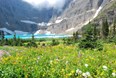 Glacier National Park -- Glacier Waterton International Peace Park Photo