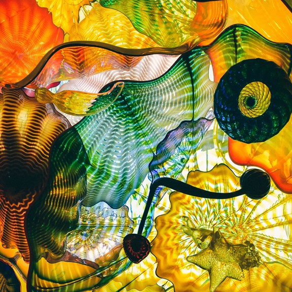 Chihuly Collection presented by Morean Arts Center