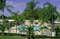 Tropical Swimming Pool