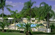 Tropical Swimming Pool