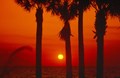 Spectacular Madeira Beach Sunsets