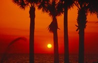 Spectacular Madeira Beach Sunsets