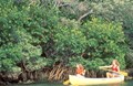 Canoe The Long Bayou Waterway