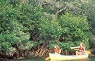Canoe The Long Bayou Waterway