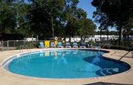 It' a lovely day for a swim