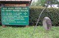 Ever see a weather rock?