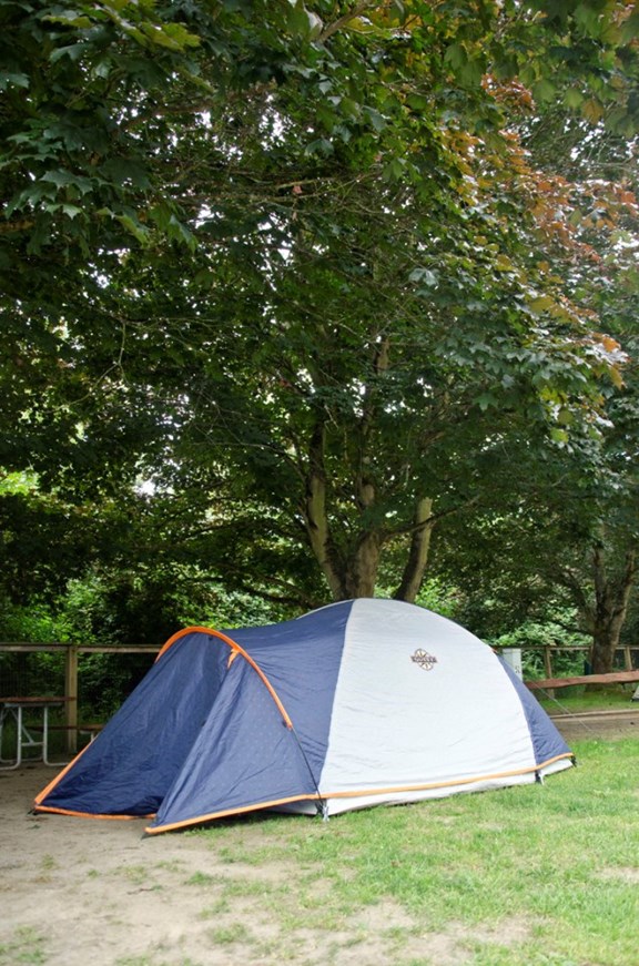 Basic Tent Site