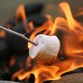 KOA Campfire Time Photo