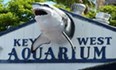 Key West Aquarium Photo