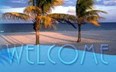 We can help arrange many trips and tours for you, including snorkeling, diving, fishing and sightseeing. Photo
